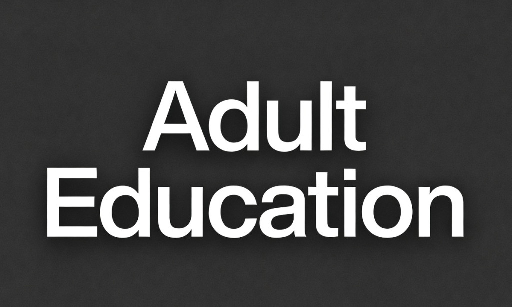 Adult Education in Nigeria: A Critical Analysis of Challenges and Emerging Prospects